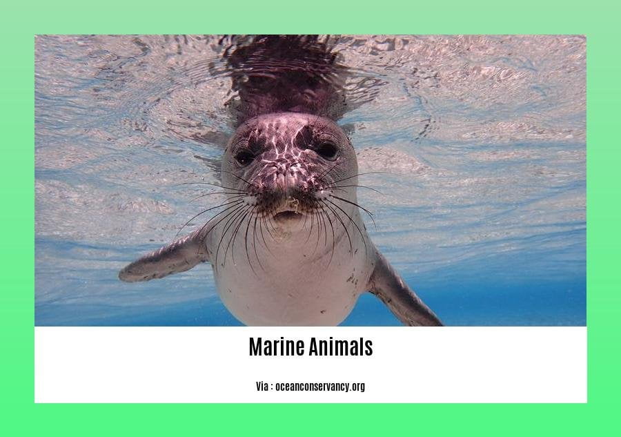 facts about marine animals