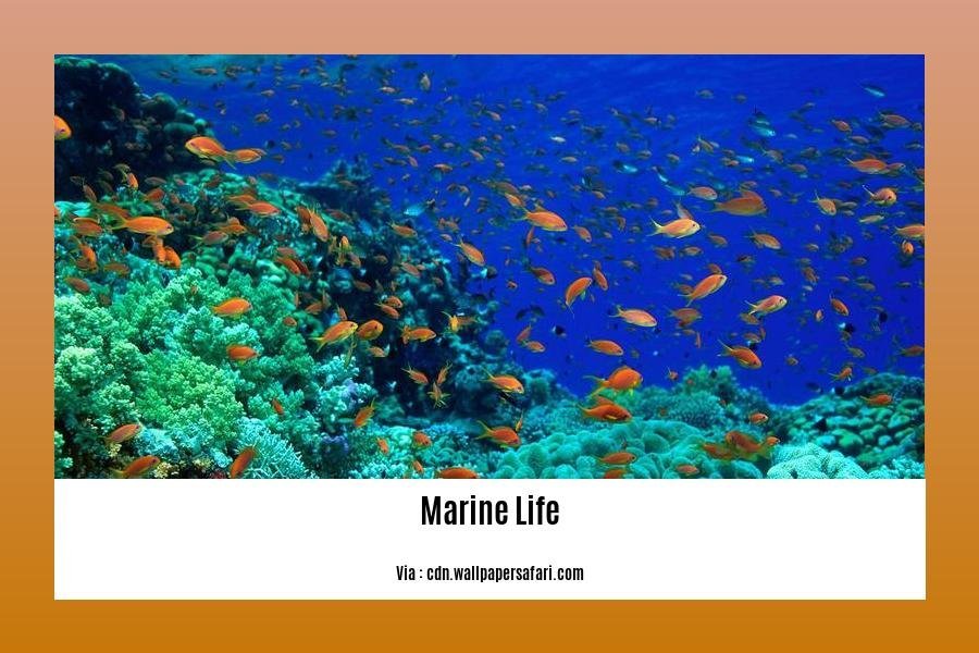 facts about marine life 2