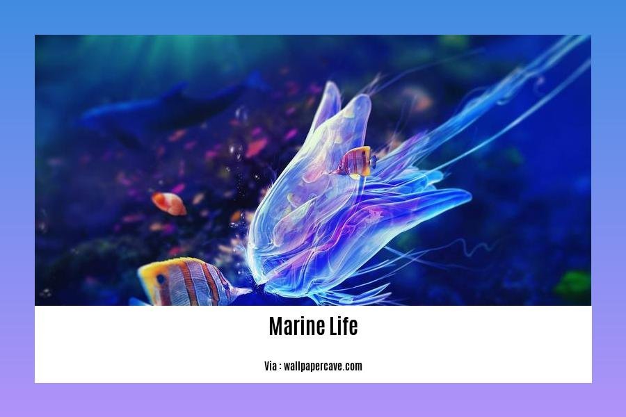 facts about marine life