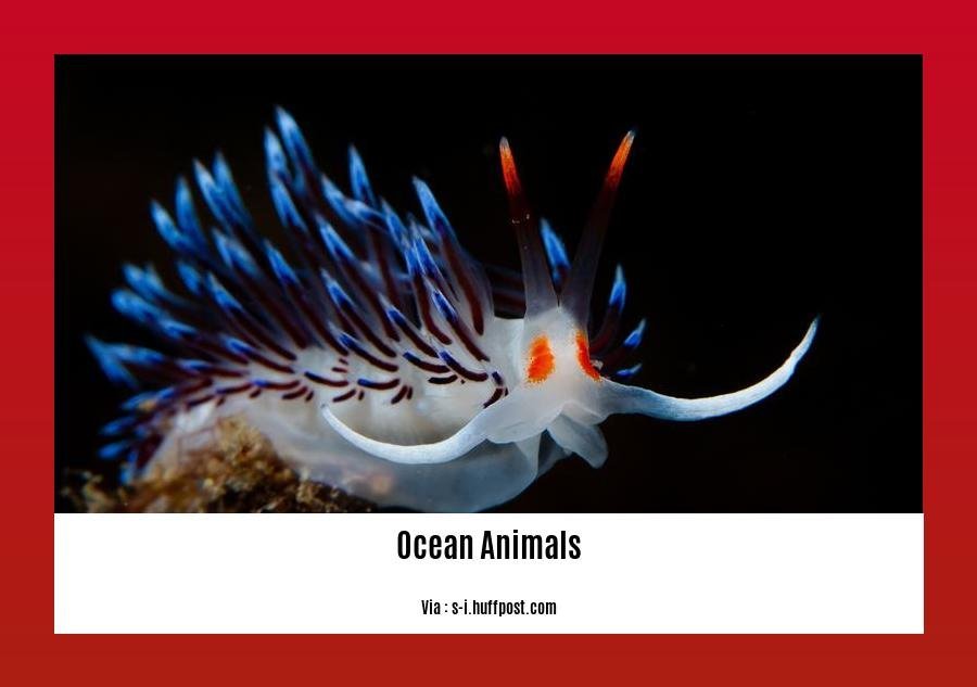 facts about ocean animals