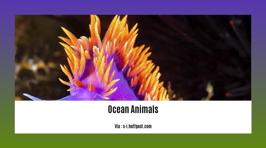 facts about ocean animals