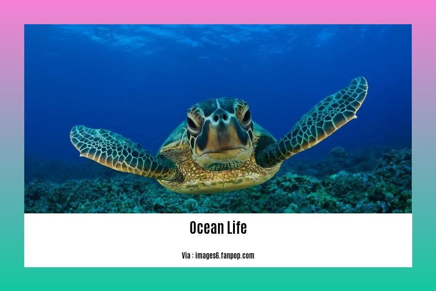 facts about ocean life