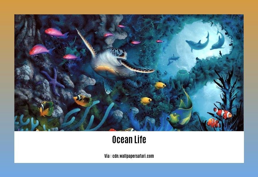 facts about ocean life 2