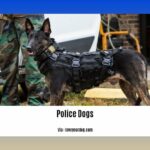 facts-about-police-dogs_2