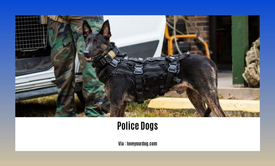 facts about police dogs 2