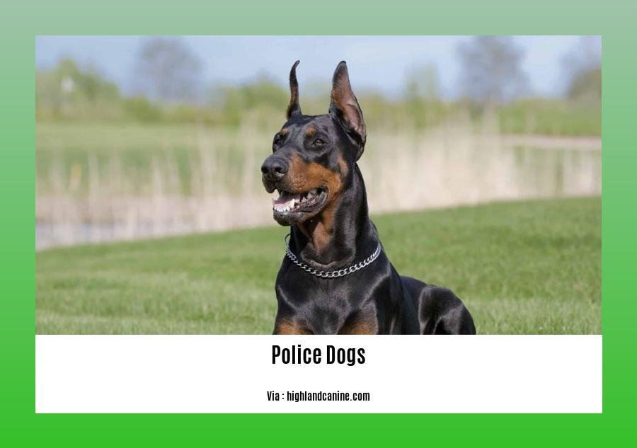 facts about police dogs