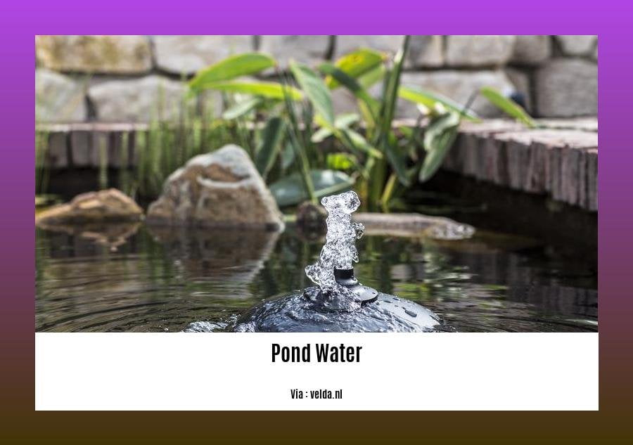 facts about pond water