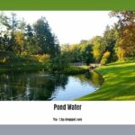 facts-about-pond-water_2