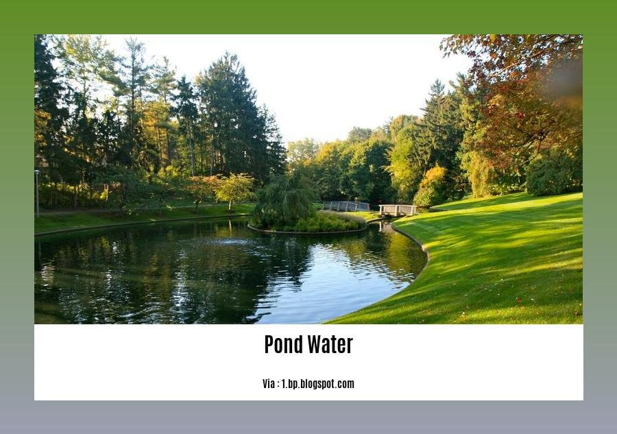 facts about pond water 2