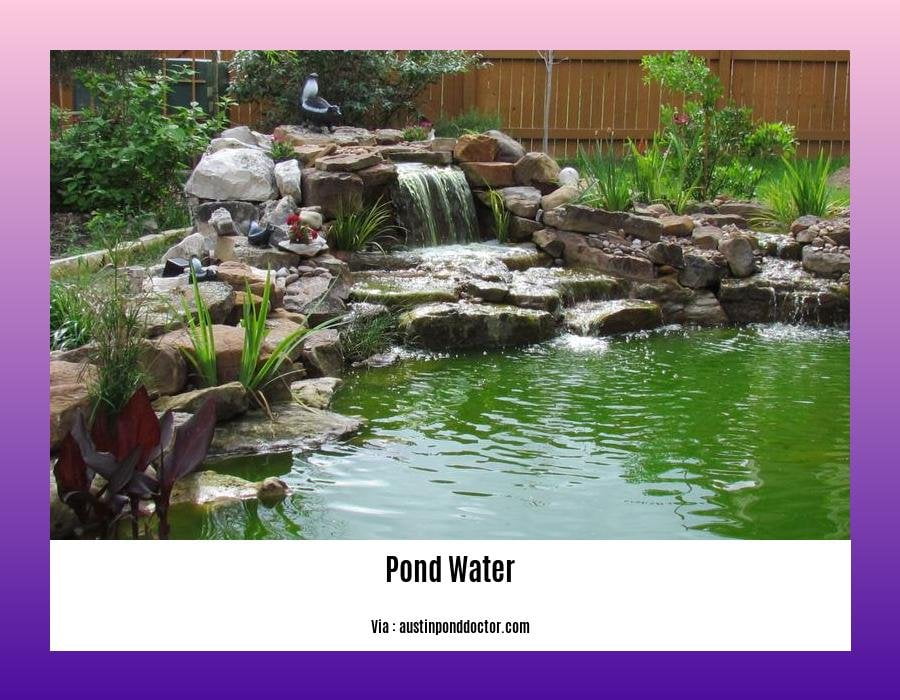 facts about pond water