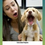 facts-about-puppies-and-kittens_2