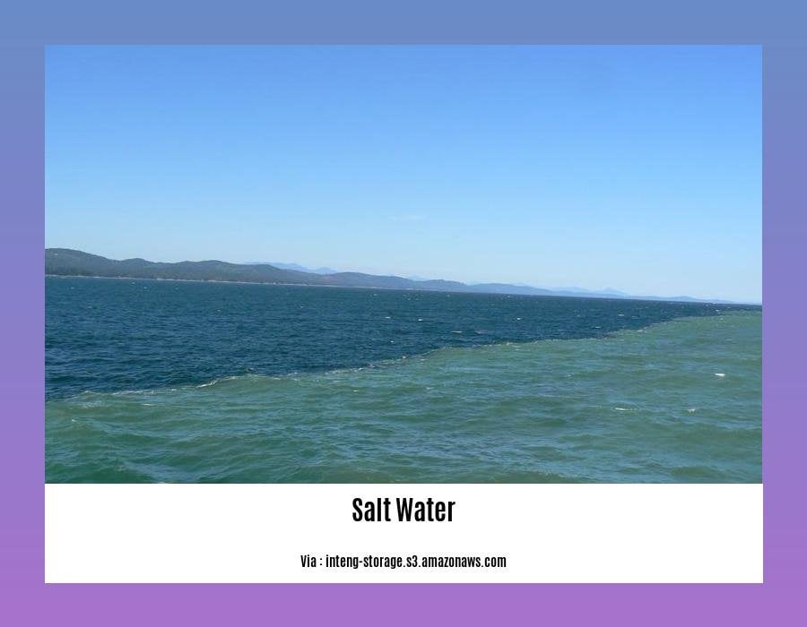 facts about salt water pools