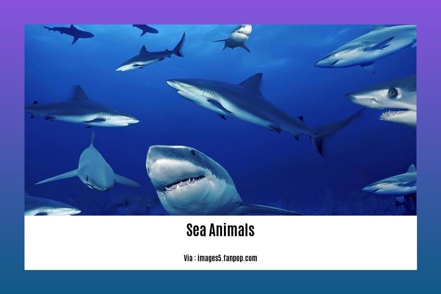 facts about sea animals