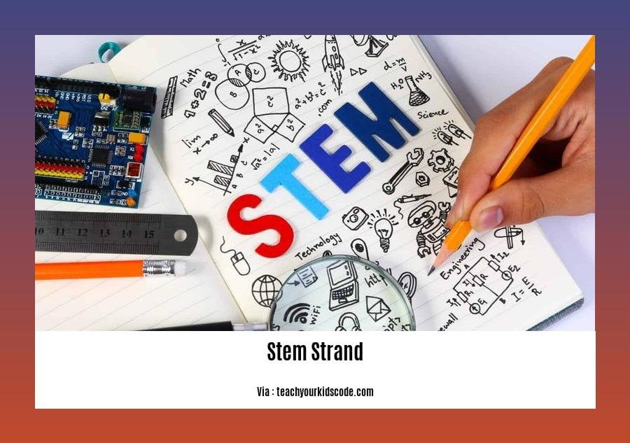 facts about stem strand