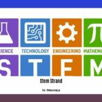 facts-about-stem-strand_2