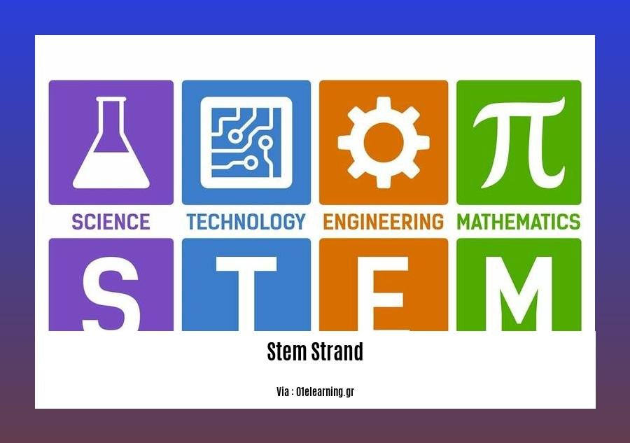 facts about stem strand 2