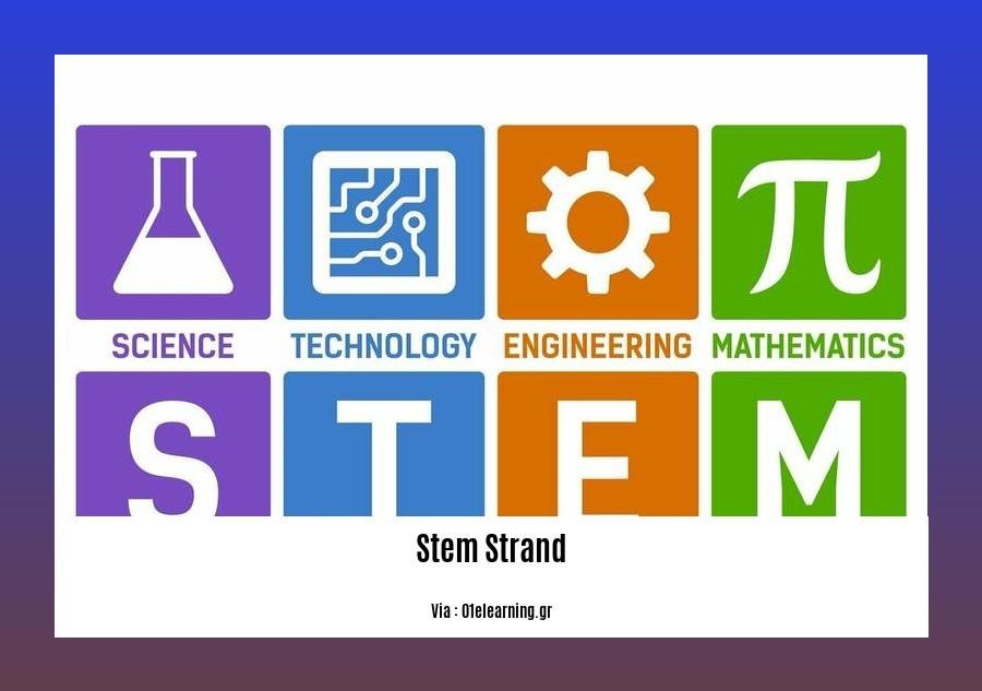 facts about stem strand 2