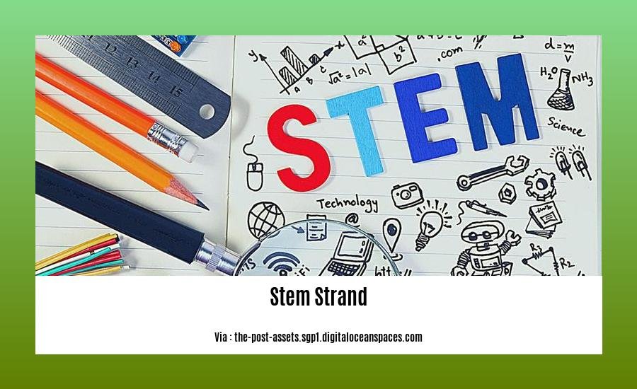 facts about stem strand