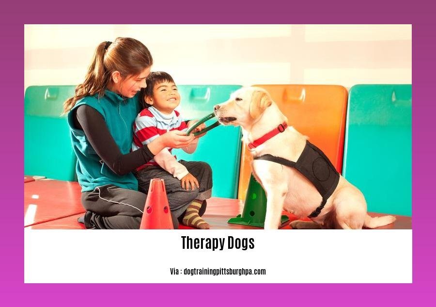 facts about therapy dogs