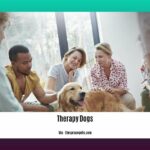 facts-about-therapy-dogs_2