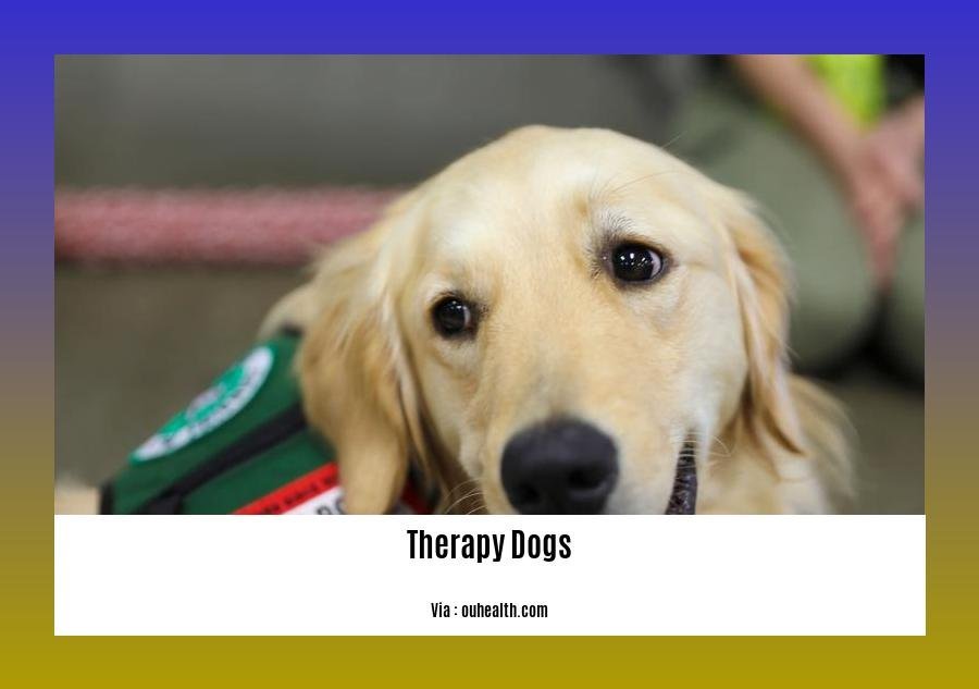 facts about therapy dogs