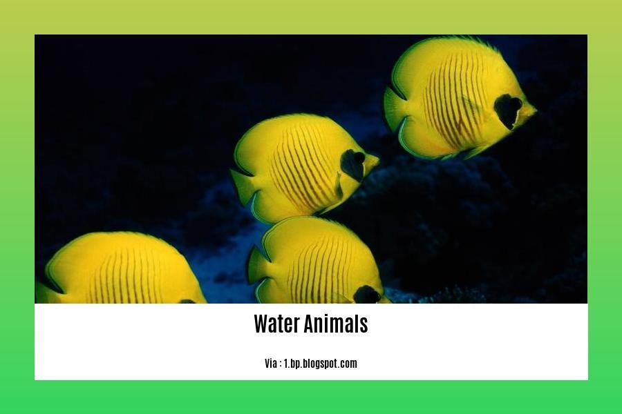 facts about water animals