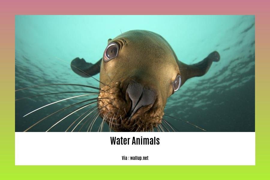 facts about water animals