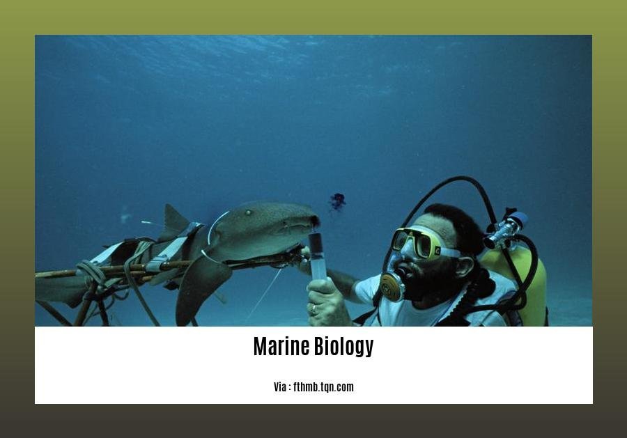 facts of marine biology 2