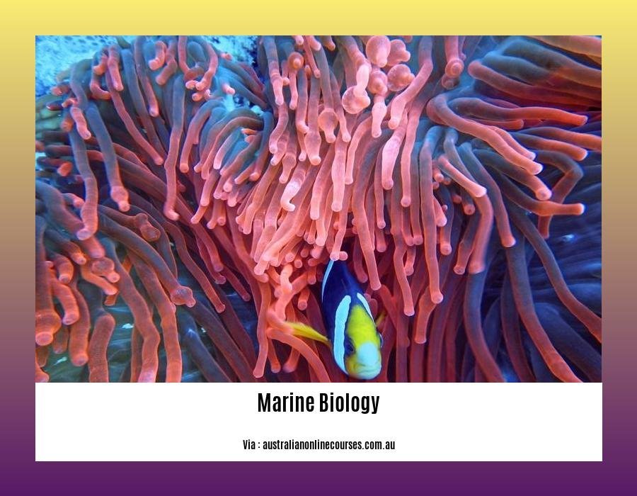 facts of marine biology