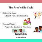 family-life-cycle-stages-in-consumer-behaviour_2