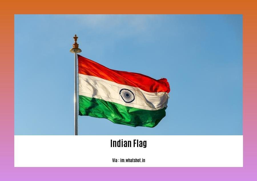 few sentences about indian flag