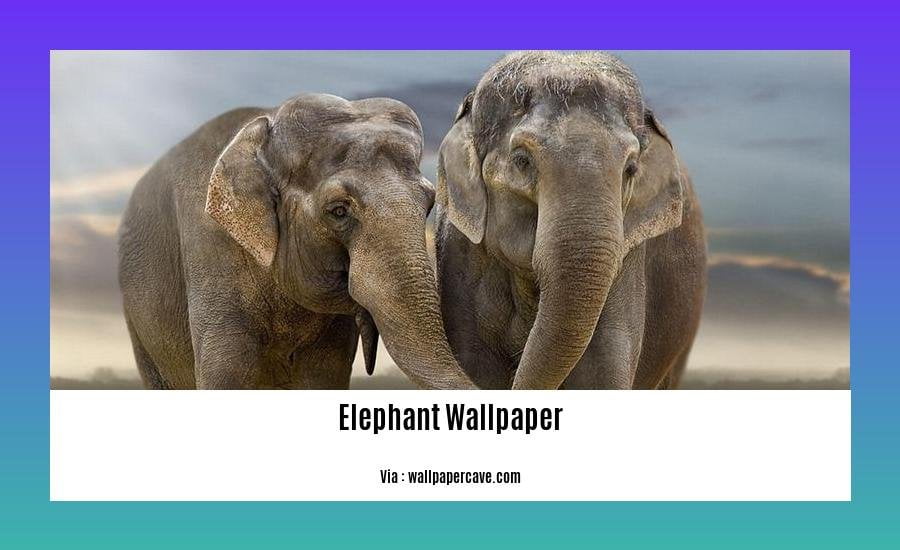 five lines about elephant in english