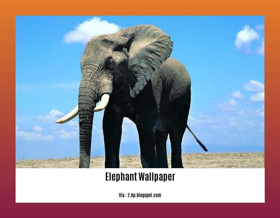 five lines about elephant in english