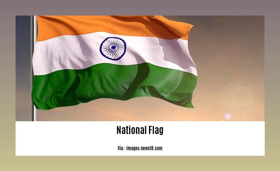five sentences about national flag