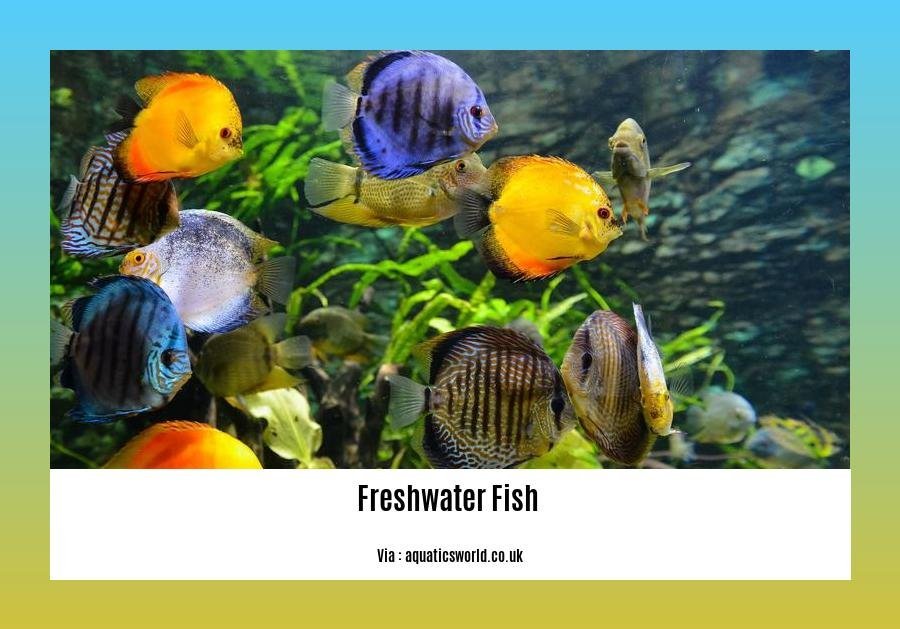 freshwater fish facts