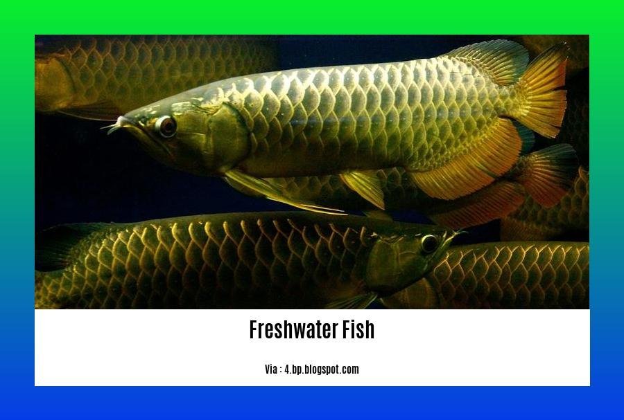 freshwater fish information 2
