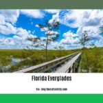 fun-facts-about-Florida-Everglades_2