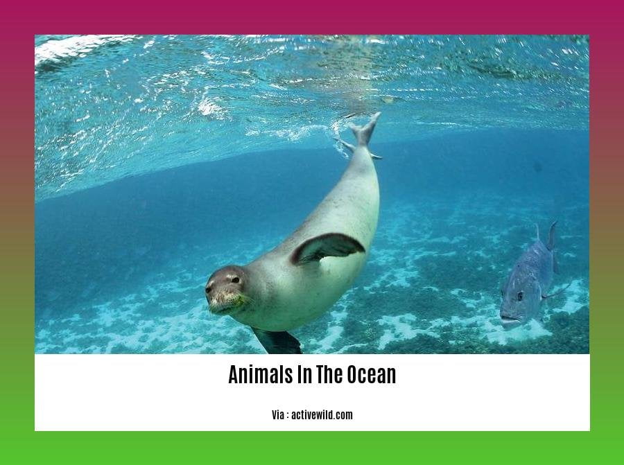 fun facts about animals in the ocean