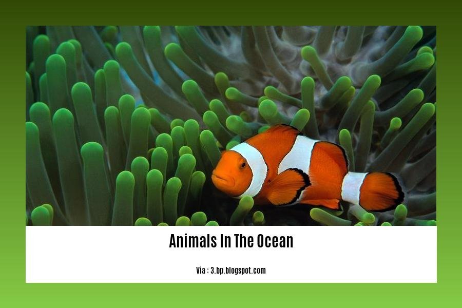 fun facts about animals in the ocean 2