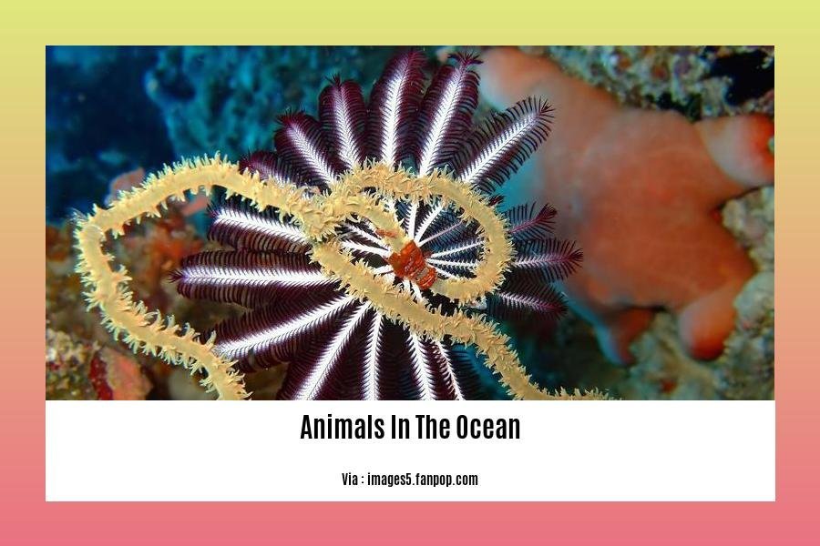 fun facts about animals in the ocean
