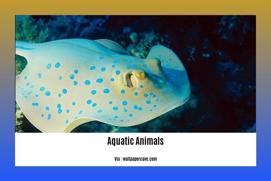 fun facts about aquatic animals