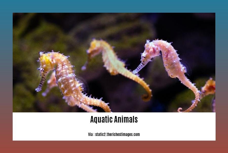 fun facts about aquatic animals 2