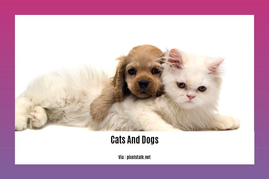 fun facts about cats and dogs