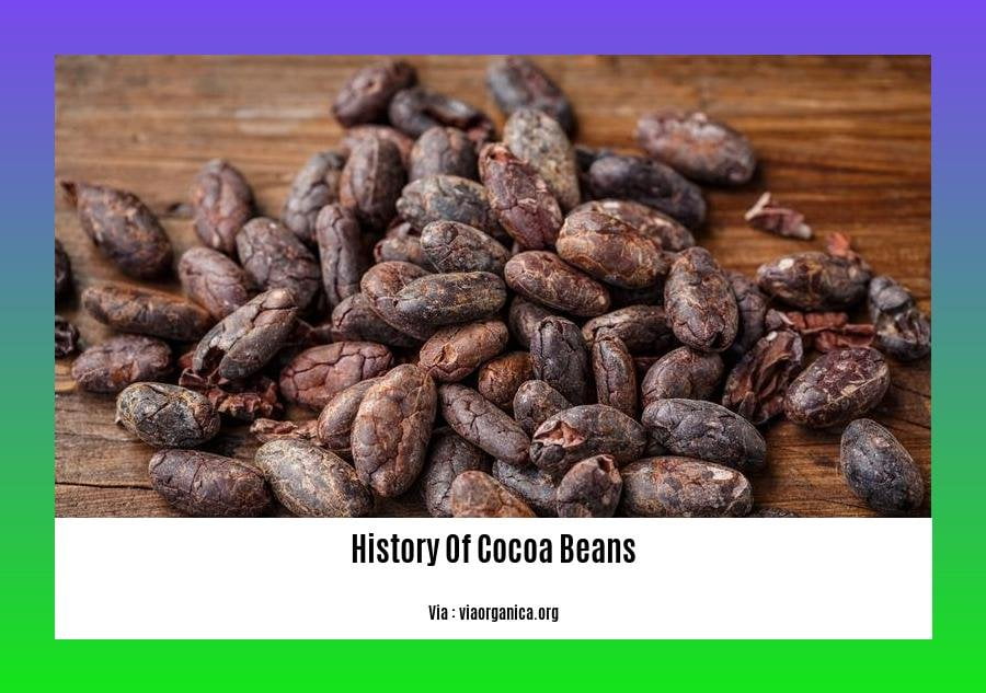 history of cocoa beans