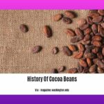 history-of-cocoa-beans_2