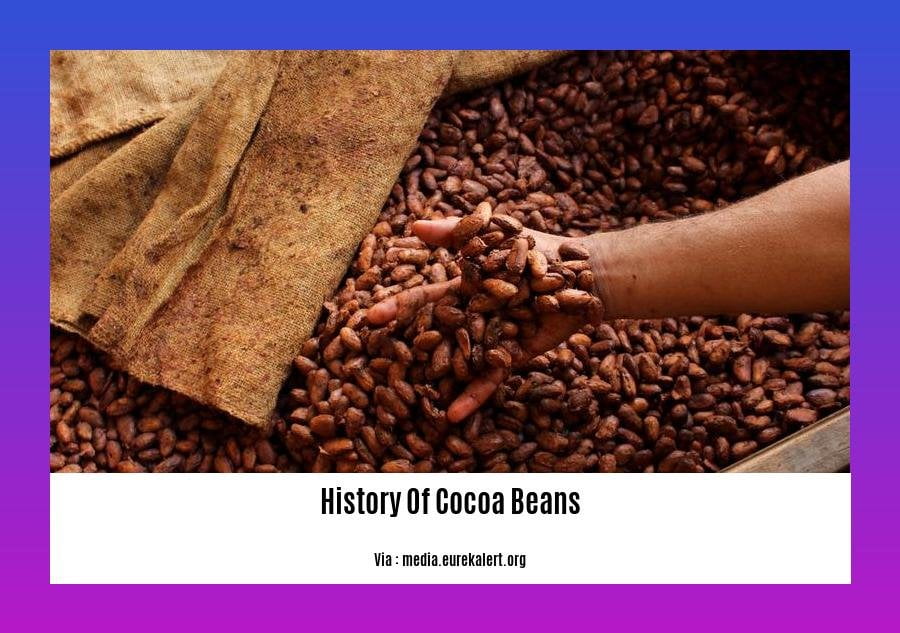 history of cocoa beans
