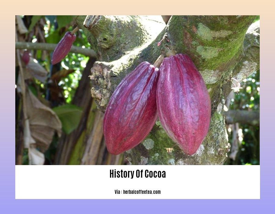 A Journey Through Time The Enigmatic History of Cocoa