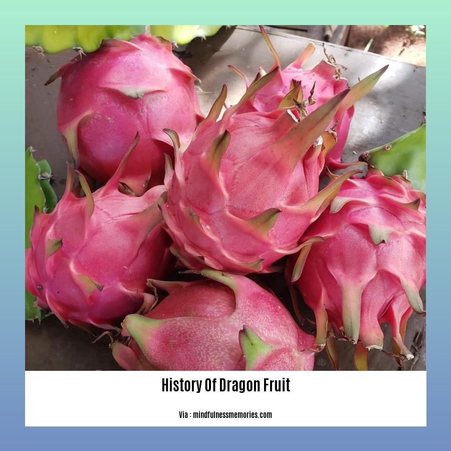 history of dragon fruit