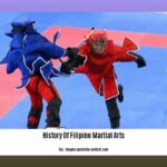 history-of-filipino-martial-arts_2