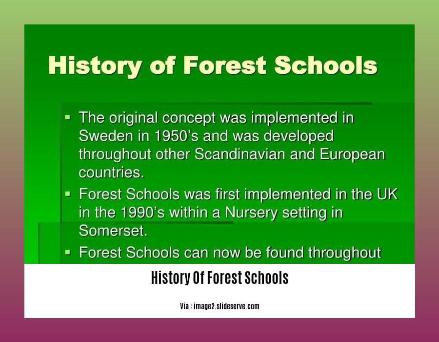 history of forest schools